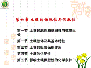 土壤肥料学第六章.ppt