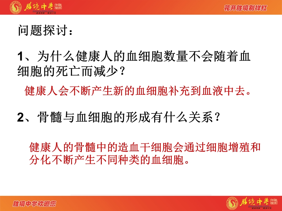 6.2细胞的分化.ppt_第3页