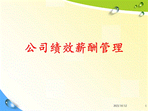 实例学习：公司绩效与薪酬管理精讲精练.ppt