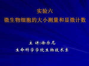 实验微生物细胞的大小测量和显微计数目.ppt