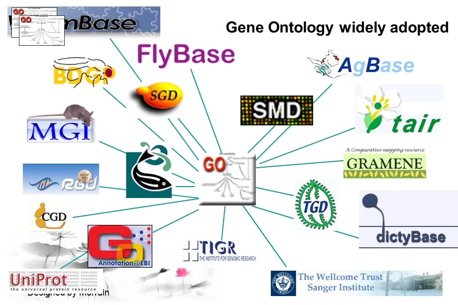 基因本体论(GeneOntology)概览.ppt_第3页