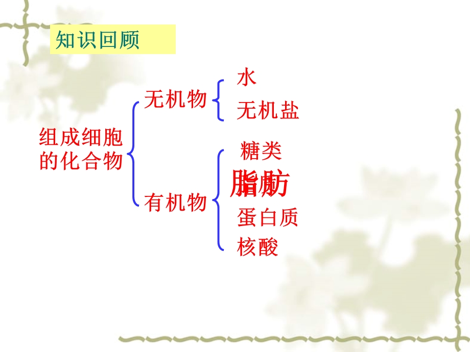 实验检测生物组织中的糖类脂质和蛋白质.ppt_第2页