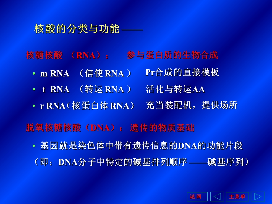 基因信息的储存和表达教学.ppt_第3页