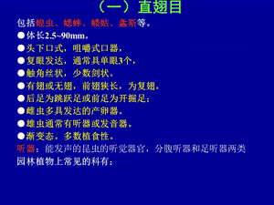 实验三分类及观察直、等、半、同翅目.ppt