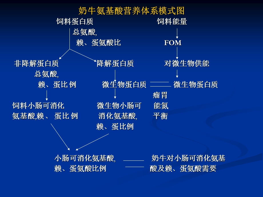 奶牛蛋白质和氨基酸营养体系.ppt_第2页