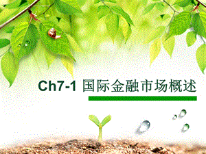 ch7-1国际金融市场概述--XXXX11.ppt