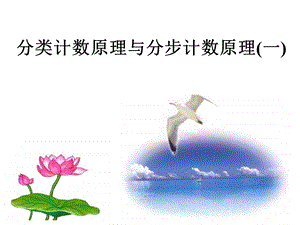 基本计数原理.ppt