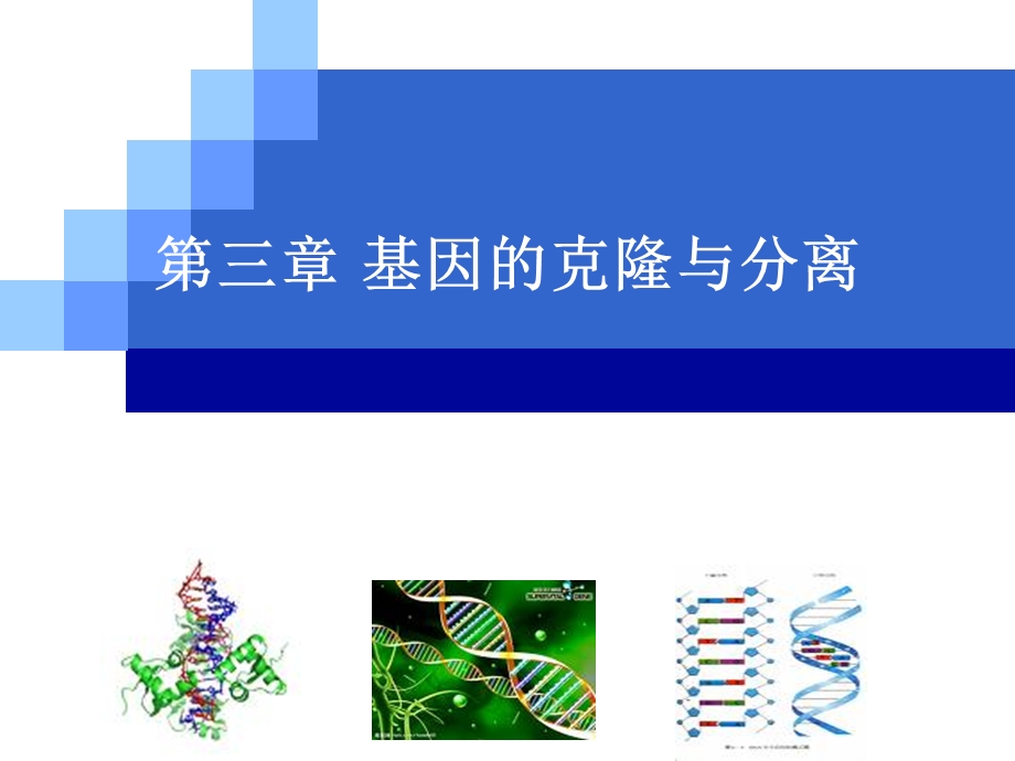 基因的克隆与分离.ppt_第1页