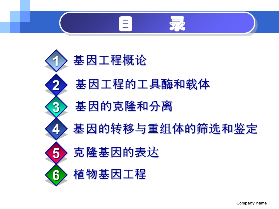 基因的克隆与分离.ppt_第2页