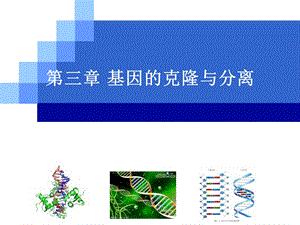 基因的克隆与分离.ppt