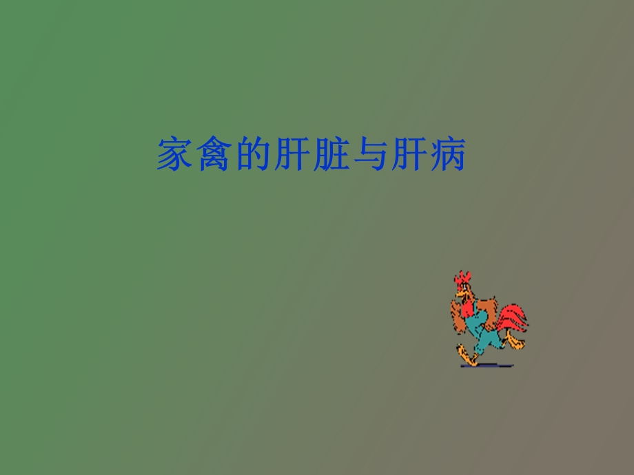 家禽肝脏与肝病.ppt_第1页