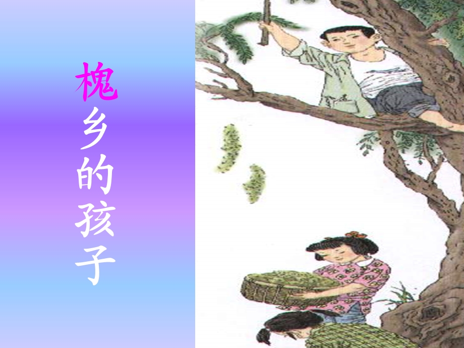 4槐乡的孩子.ppt.ppt_第1页