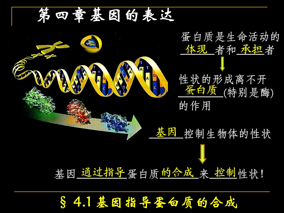 基因指导蛋白质的合成ppt.ppt_第1页