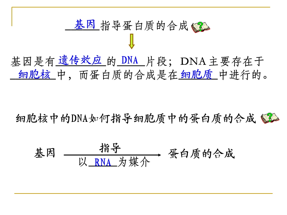 基因指导蛋白质的合成ppt.ppt_第3页