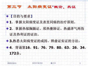 太阳病变证概论热证.ppt