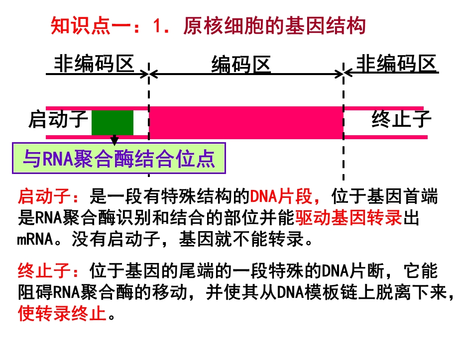 基因工程的步骤好有真原核基因区别.ppt_第2页