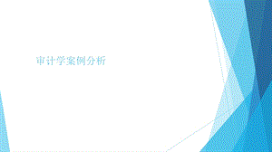 审计循环案例分析.ppt