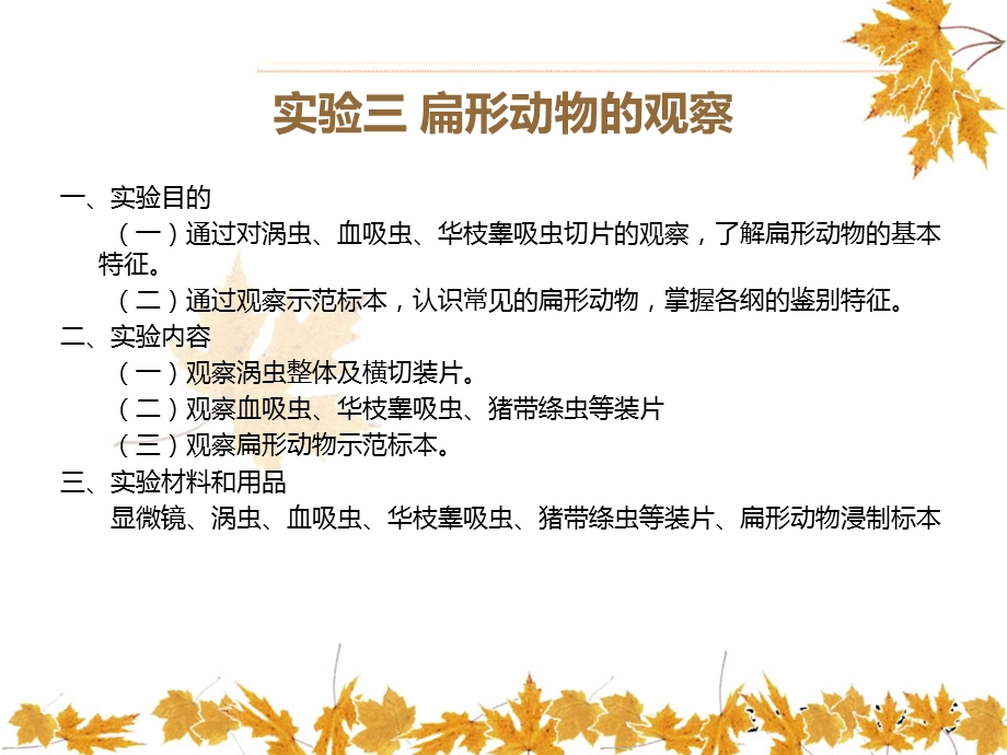 实验三扁形动物的观察.ppt_第2页