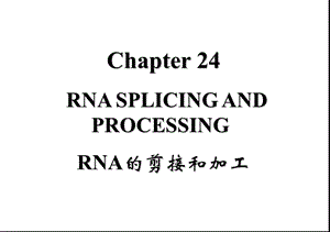 基础分子生物学课件24RNA的剪切与加工.ppt