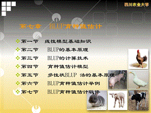 家畜育种学07种畜的遗传评估三：BLUP育种值估计.ppt