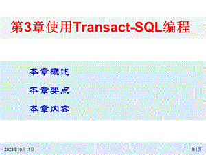 大型数据库第3章transactsql语言.ppt