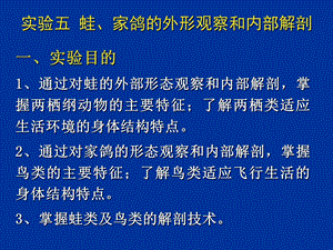 实验5蛙、家鸽的外形观察和内部解剖.ppt