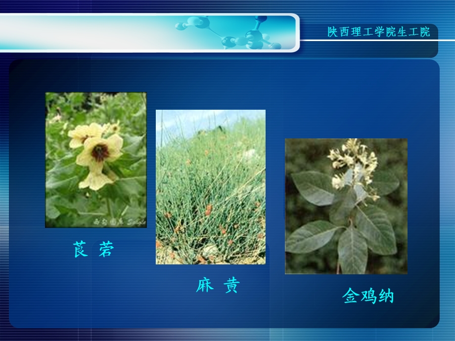 天然药物化学-第九章-生物碱.ppt_第3页