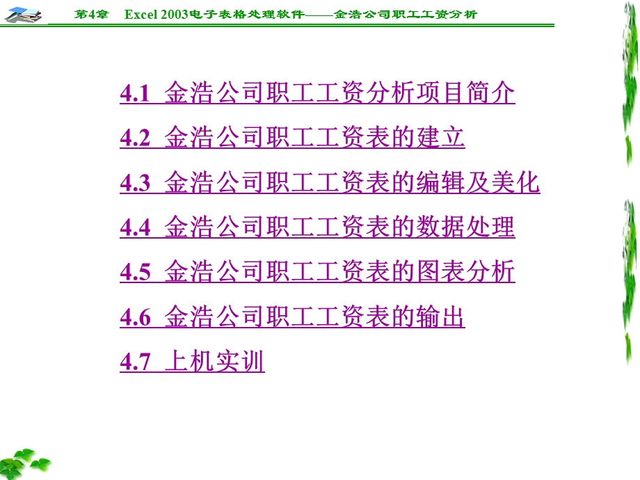 Excel2003电子表格处理软件——金浩公司职工工资分.ppt_第2页