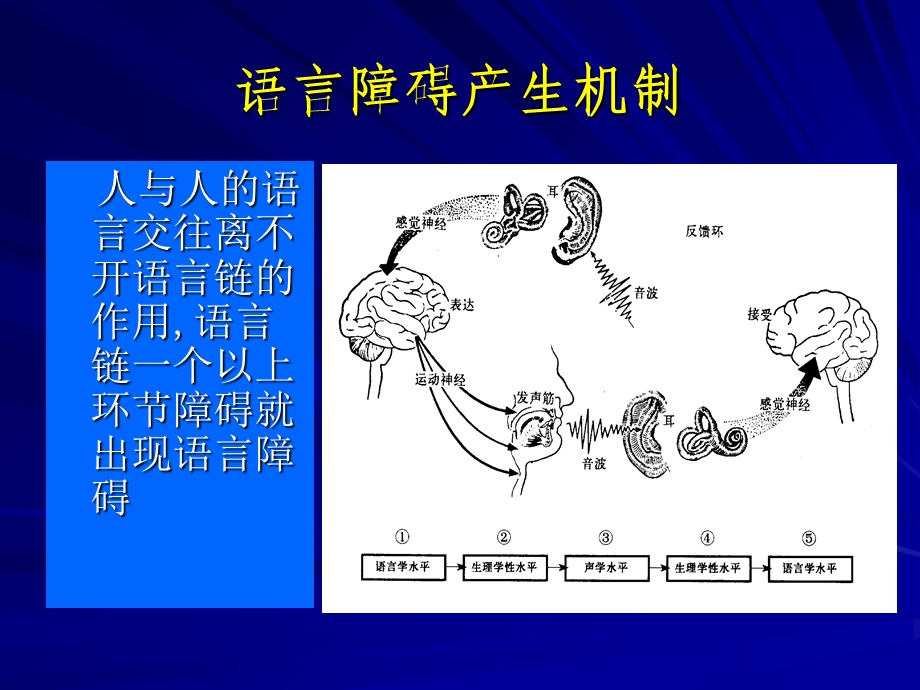 失语症的临床特征.ppt_第2页