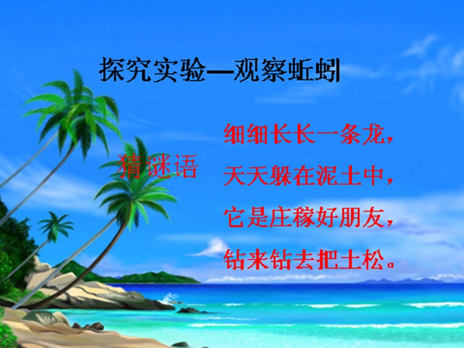 土壤里的小动物蚯蚓.ppt_第1页