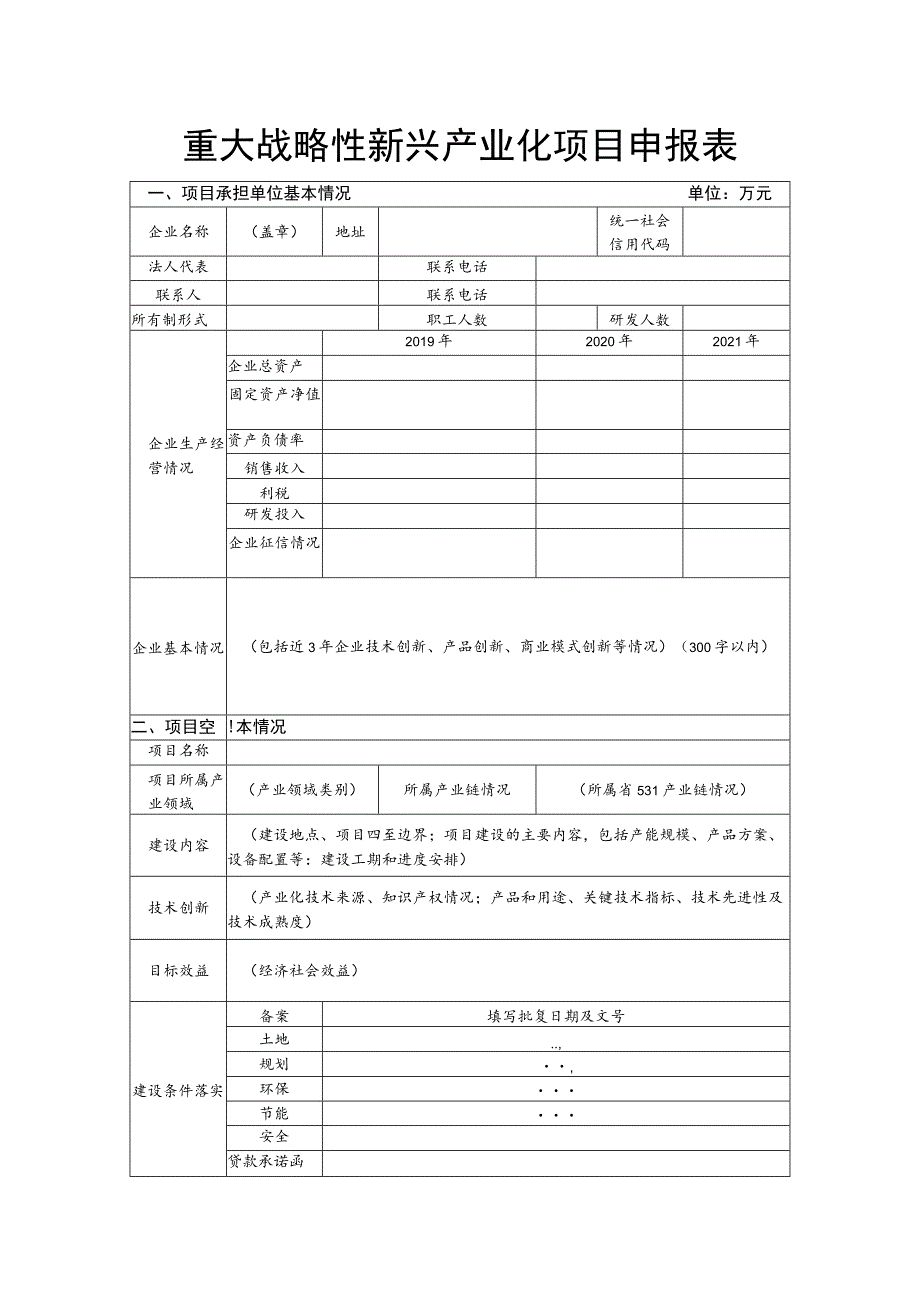 重大战略性新兴产业化项目申报表.docx_第1页