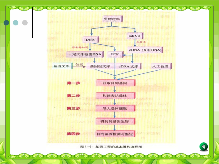 基因工程的操作程序pt.ppt_第3页