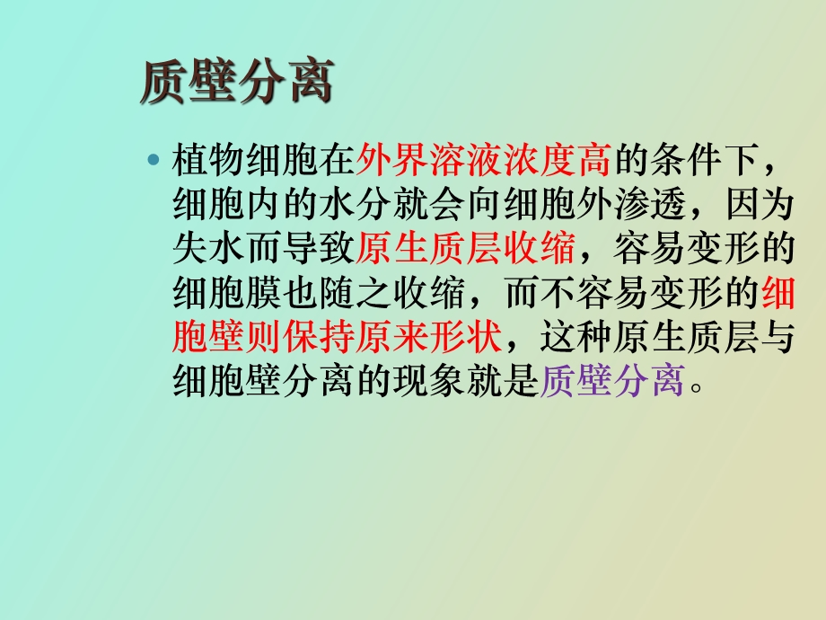 实验质壁分离.ppt_第3页