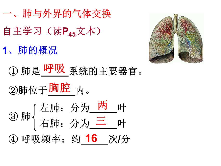 4.32发生在肺内的气体交换.ppt_第3页