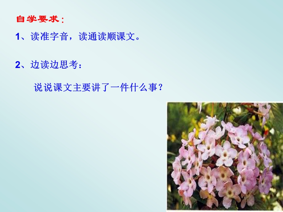 5.寻找幸运花瓣.ppt_第3页