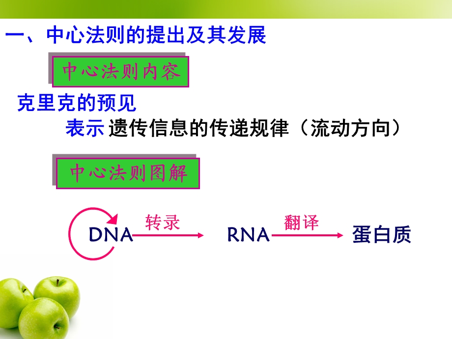 4.2基因对性状的控制课件朱秀花.ppt_第3页