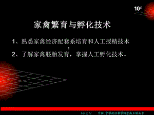 家禽繁育与孵化技术.ppt