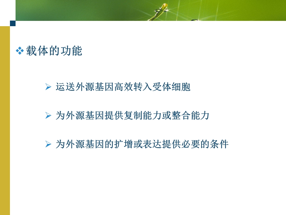 基因工程常用的克隆载体.ppt_第2页