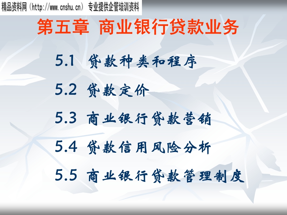 aac_1222_商业银行资产业务讲座(ppt).ppt_第2页