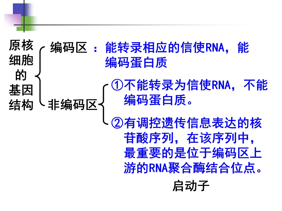 基因工程的基本操作顺序.ppt_第3页