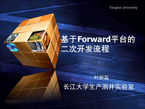 基于forward平台的二次开发流程.ppt