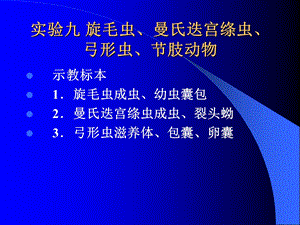 寄生虫实验九旋毛虫迭宫绦虫弓形虫节肢动物.ppt