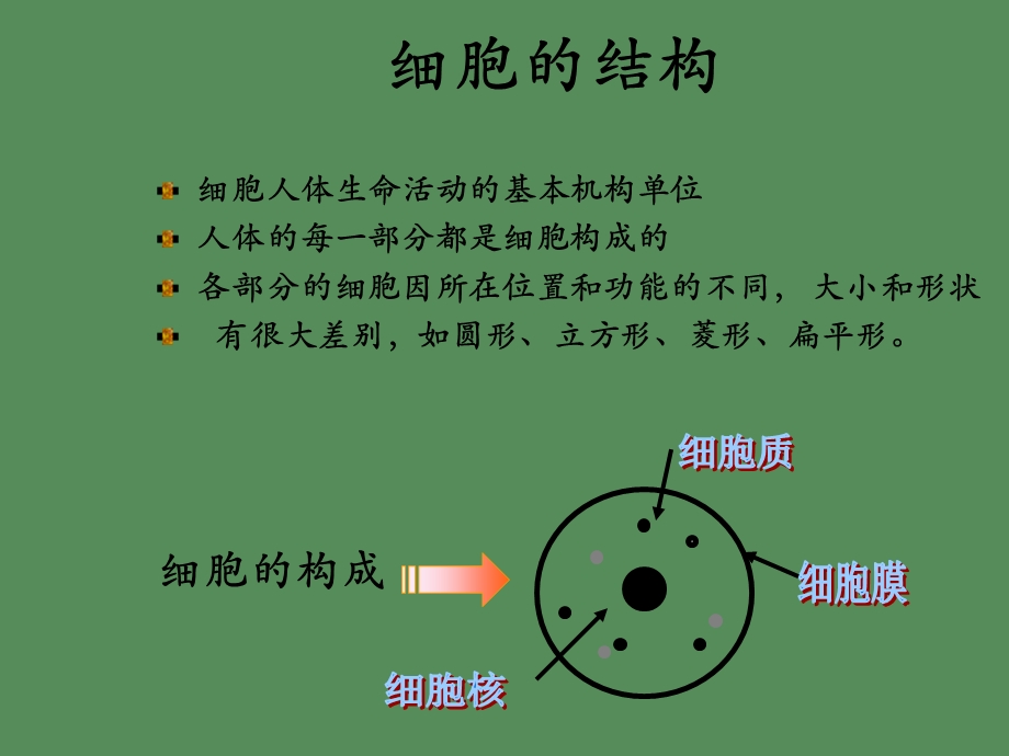 基础护肤技巧.ppt_第3页