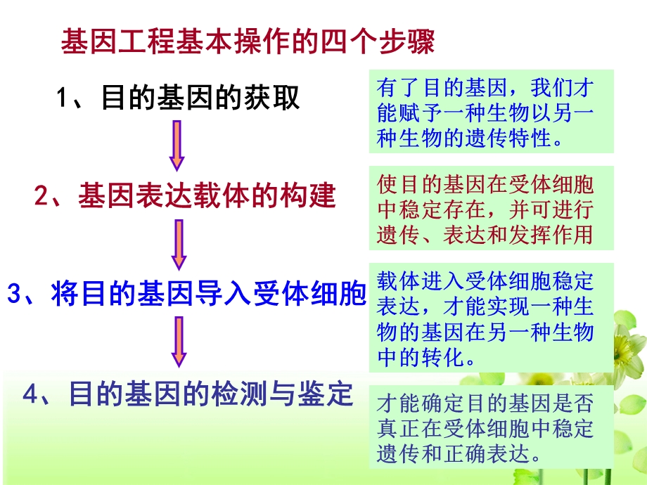 基因工程基本操作程序.ppt_第3页