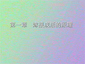 嫁接成活的原理.ppt