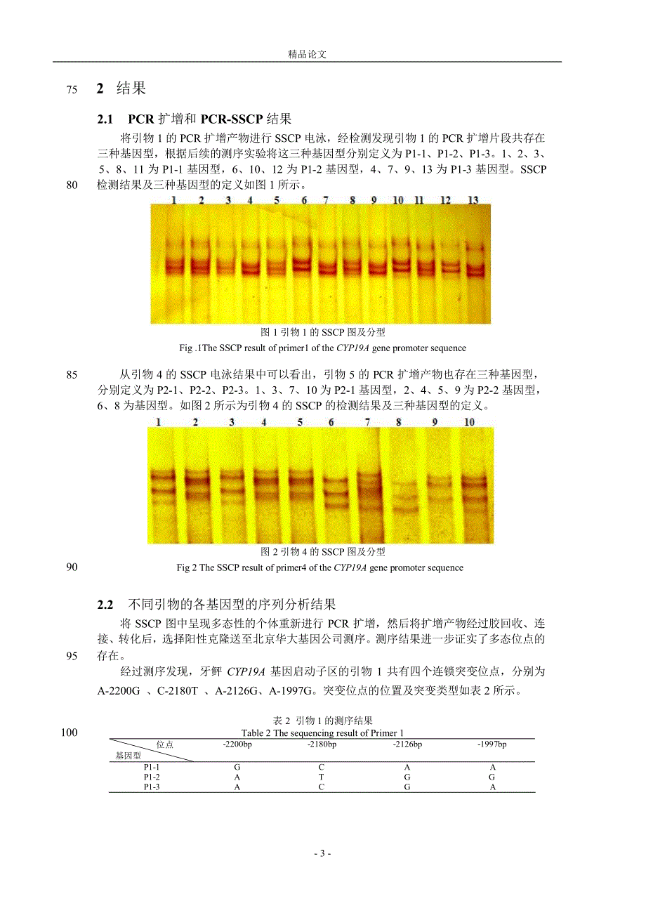 牙鲆 CYP19A 基因启动子 CpG 富集区突变.doc_第3页