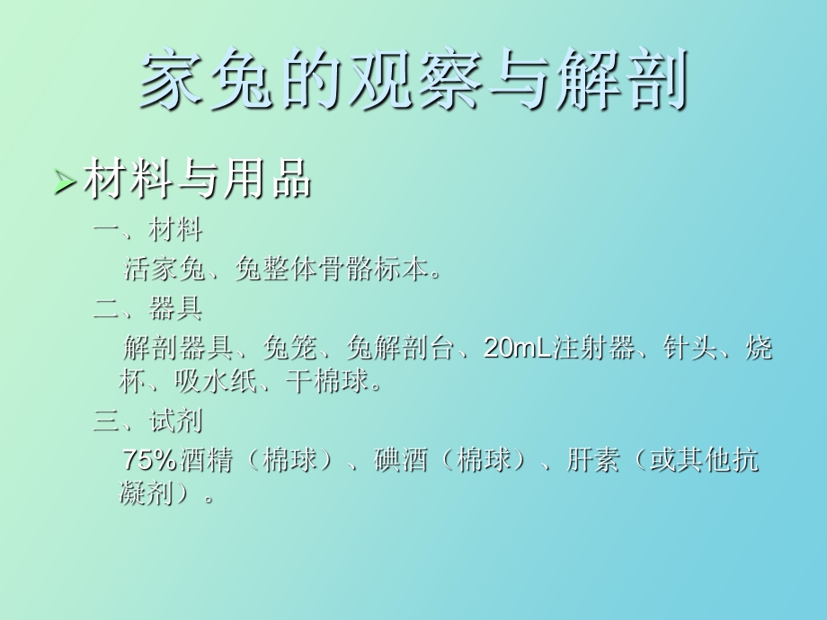 家兔的观察与解剖.ppt_第3页