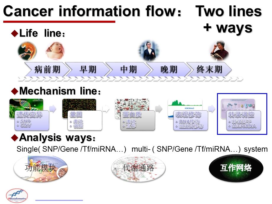 功能基因组学 重大疾病中的非编码rna调控分析 5.ppt_第2页