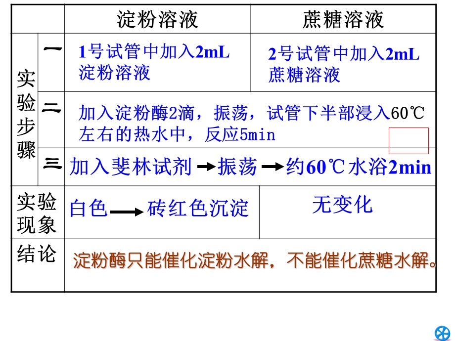 实验酶的专一性.ppt_第3页