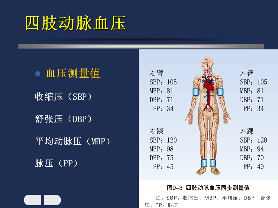 外周动脉检测分析技术.ppt_第3页